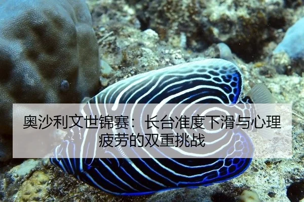 ao-sha-li-wen-shi-jin-sai-zhang-tai-zhun-du-xia-hua-yu-xin-li-pi-lao-de-shuang-chong-tiao-zhan-3-728.jpg