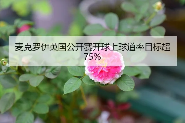 麦克罗伊英国公开赛开球上球道率目标超75%