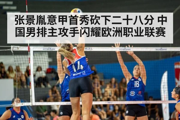 volleyball match action
