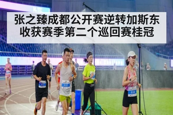 张之臻成都公开赛逆转加斯东 收获赛季第二个巡回赛桂冠